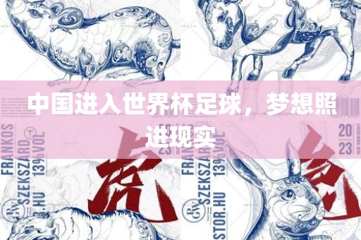 中国进入世界杯足球，梦想照进现实