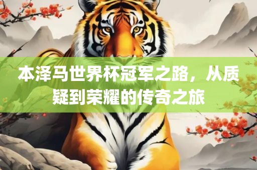 本泽马世界杯冠军之路，从质疑到荣耀的传奇之旅