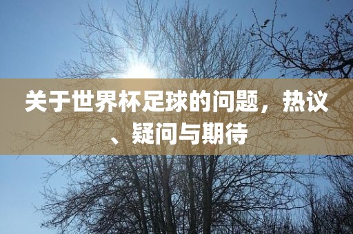 关于世界杯足球的问题，热议、疑问与期待