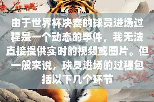 由于世界杯决赛的球员进场过程是一个动态的事件，我无法直接提供实时的视频或图片。但一般来说，球员进场的过程包括以下几个环节