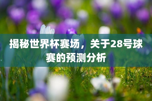 揭秘世界杯赛场，关于28号球赛的预测分析