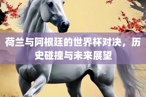 荷兰与阿根廷的世界杯对决，历史碰撞与未来展望