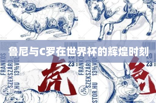 鲁尼与C罗在世界杯的辉煌时刻