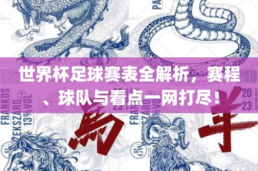 世界杯足球赛表全解析，赛程、球队与看点一网打尽！