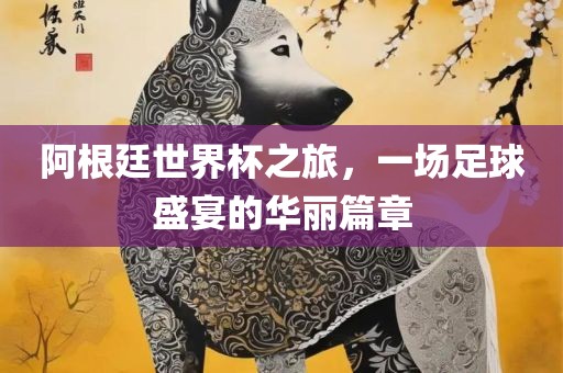 阿根廷世界杯之旅，一场足球盛宴的华丽篇章