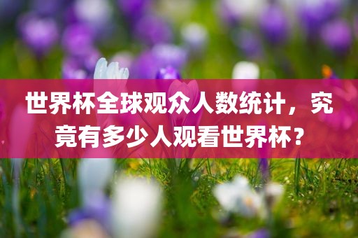世界杯全球观众人数统计，究竟有多少人观看世界杯？