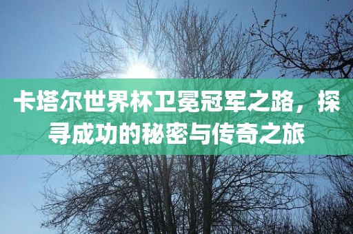 卡塔尔世界杯卫冕冠军之路，探寻成功的秘密与传奇之旅
