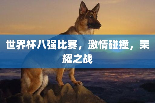 世界杯八强比赛，激情碰撞，荣耀之战