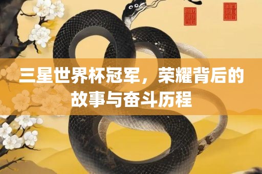 三星世界杯冠军，荣耀背后的故事与奋斗历程眉山市正发家政服务有限公司