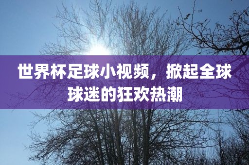 世界杯足球小视频，掀起全球球迷的狂欢热潮