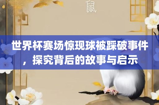 xiaxunyi 第2页