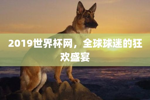 2019世界杯网，全球球迷的狂欢盛宴