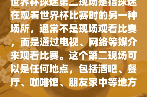 世界杯球迷第二现场是指球迷在观看世界杯比赛时的另一种场所，通常不是现场观看比赛，而是通过电视、网络等媒介来观看比赛。这个第二现场可以是任何地点，包括酒吧、餐厅、咖啡馆、朋友家中等地方。