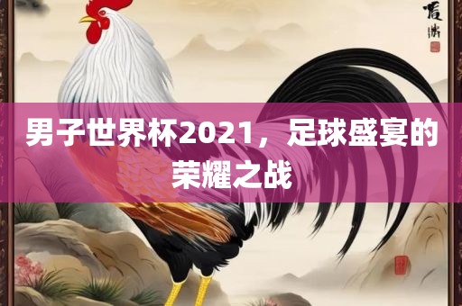 男子世界杯2021，足球盛宴的荣耀之战