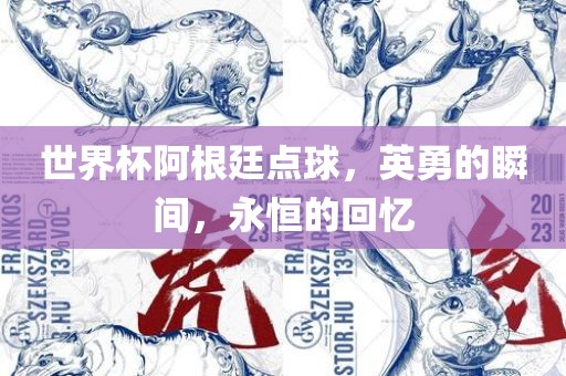 世界杯阿根廷点球，英勇的瞬间，永恒的回忆