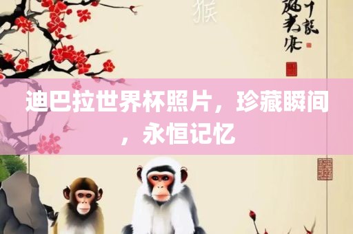 迪巴拉世界杯照片，珍藏瞬间，永恒记忆