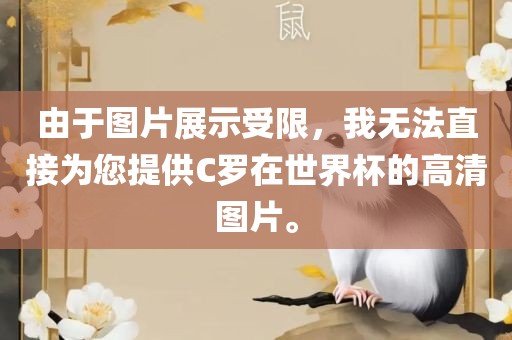 由于图片展示受限，我无法直接为您提供C罗在世界杯的高清图片。