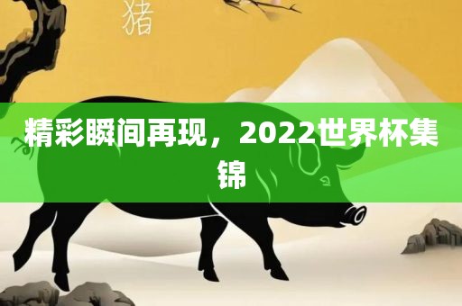 精彩瞬间再现，2022世界杯集锦
