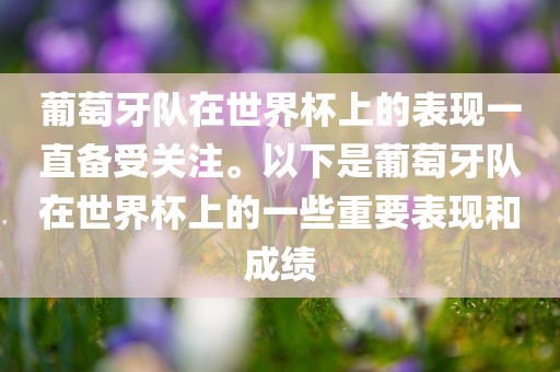 葡萄牙队在世界杯上的表现一直备受关注。以下是葡萄牙队在世界杯上的一些重要表现和成绩眉山市正发家政服务有限公司
