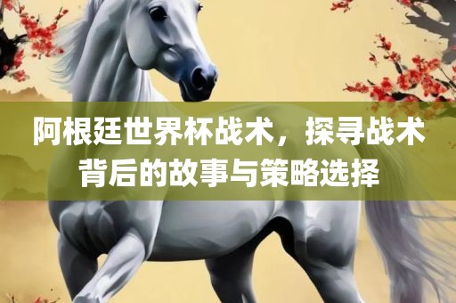 阿根廷世界杯战术，探寻战术背后的故事与策略选择