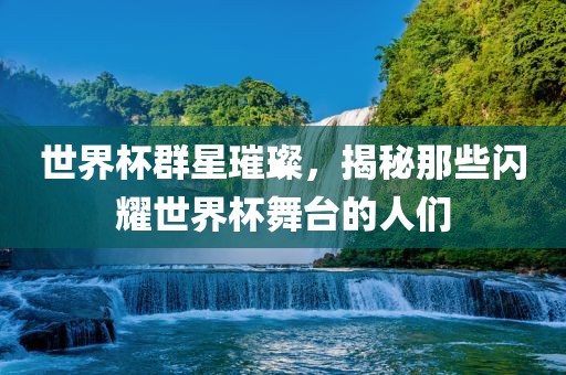 世界杯群星璀璨，揭秘那些闪耀世界杯舞台的人们