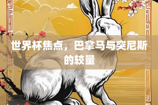 世界杯焦点，巴拿马与突尼斯的较量