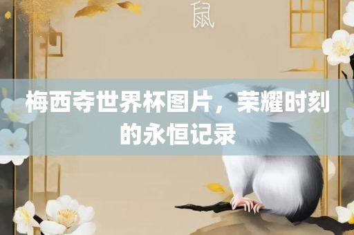 梅西夺世界杯图片，荣耀时刻的永恒记录