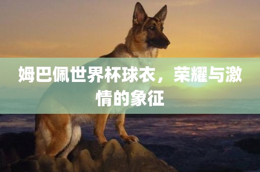 姆巴佩世界杯球衣，荣耀与激情的象征