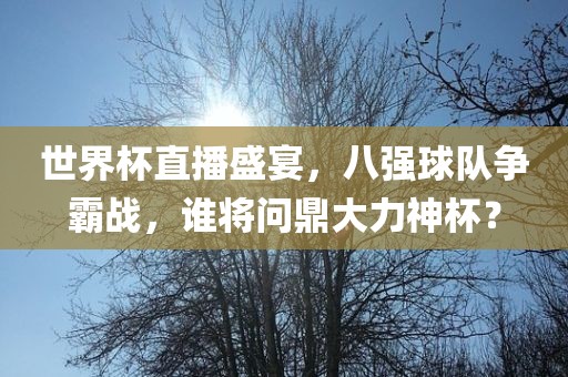 世界杯直播盛宴，八强球队争霸战，谁将问鼎大力神杯？