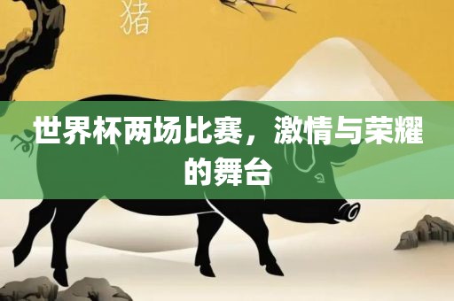 世界杯两场比赛，激情与荣耀的舞台
