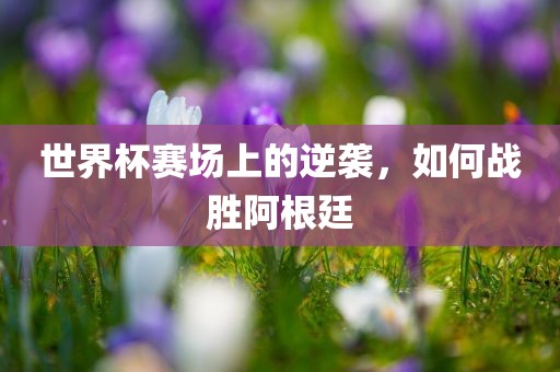 世界杯赛场上的逆袭，如何战胜阿根廷