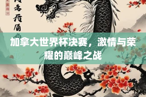 加拿大世界杯决赛，激情与荣耀的巅峰之战