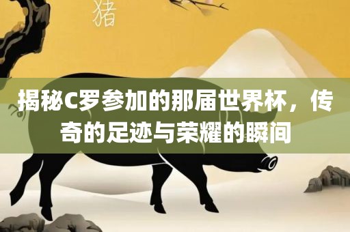 揭秘C罗参加的那届世界杯，传奇的足迹与荣耀的瞬间