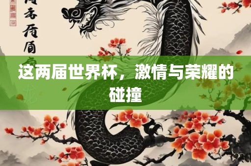 这两届世界杯，激情与荣耀的碰撞