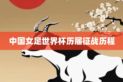 中国女足世界杯历届征战历程