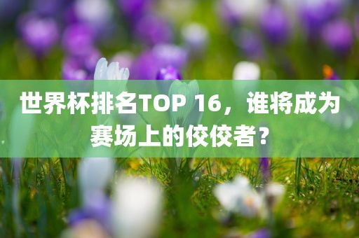 世界杯排名TOP 16，谁将成为赛场上的佼佼者？