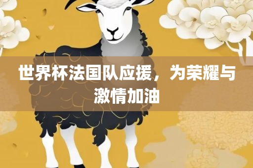 世界杯法国队应援，为荣耀与激情加油