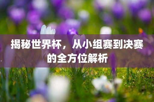 揭秘世界杯，从小组赛到决赛的全方位解析