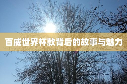 百威世界杯款背后的故事与魅力