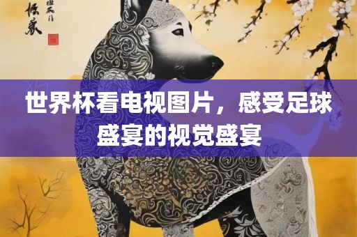 世界杯看电视图片，感受足球盛宴的视觉盛宴