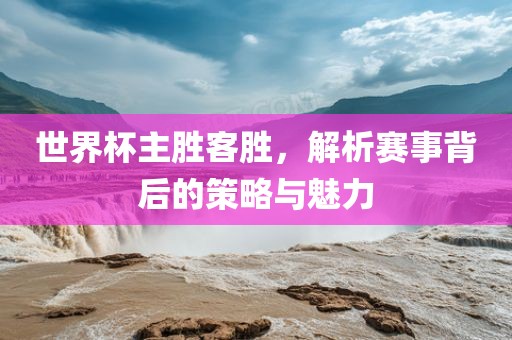 世界杯主胜客胜，解析赛事背后的策略与魅力