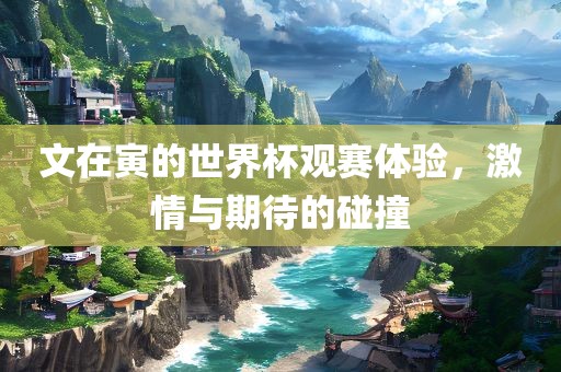 文在寅的世界杯观赛体验，激情与期待的碰撞