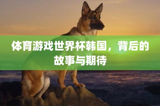 体育游戏世界杯韩国，背后的故事与期待