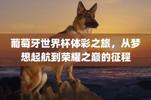 葡萄牙世界杯体彩之旅，从梦想起航到荣耀之巅的征程
