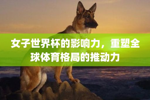 女子世界杯的影响力，重塑全球体育格局的推动力