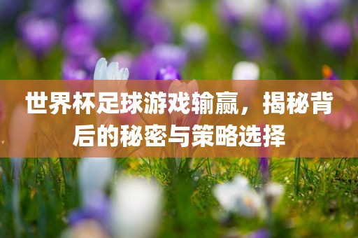 世界杯足球游戏输赢，揭秘背后的秘密与策略选择