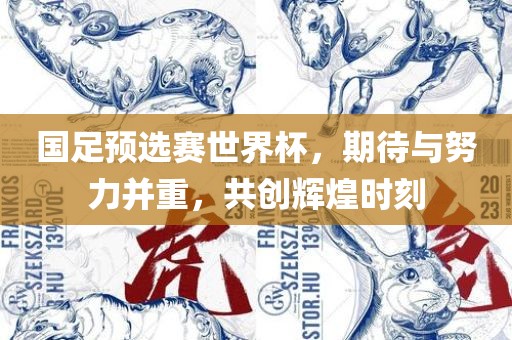 国足预选赛世界杯，期待与努力并重，共创辉煌时刻