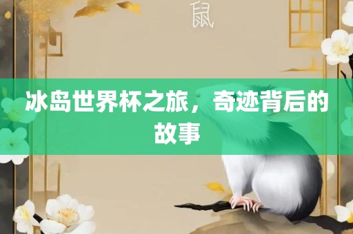 冰岛世界杯之旅，奇迹背后的故事