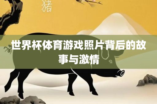 故事与激情