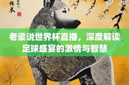 老梁说世界杯直播，深度解读足球盛宴的激情与智慧